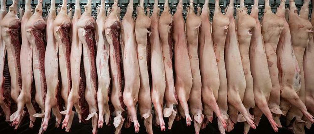 China hat die Importe von Schweinefleisch der Unternehmensgruppe Tönnies gestoppt.