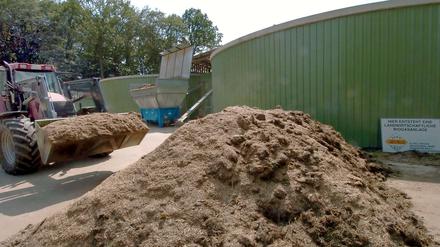 Mist oder Mais - aus vielen organischen Abfällen lässt sich Biogas erzeugen. 