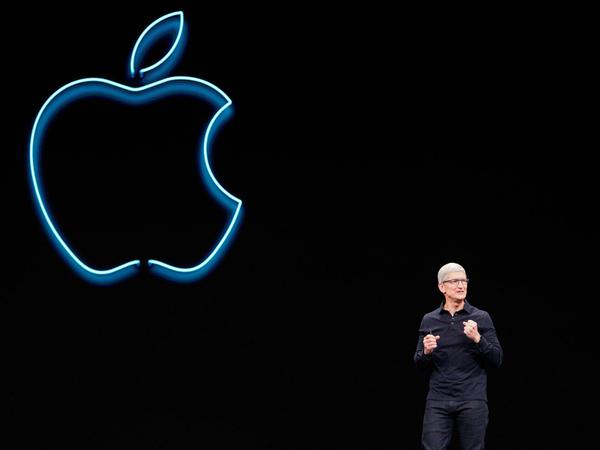 Apple-Chef Tim Cook spricht auf der Entwicklerkonferenz im kalifornischen San Jose.
