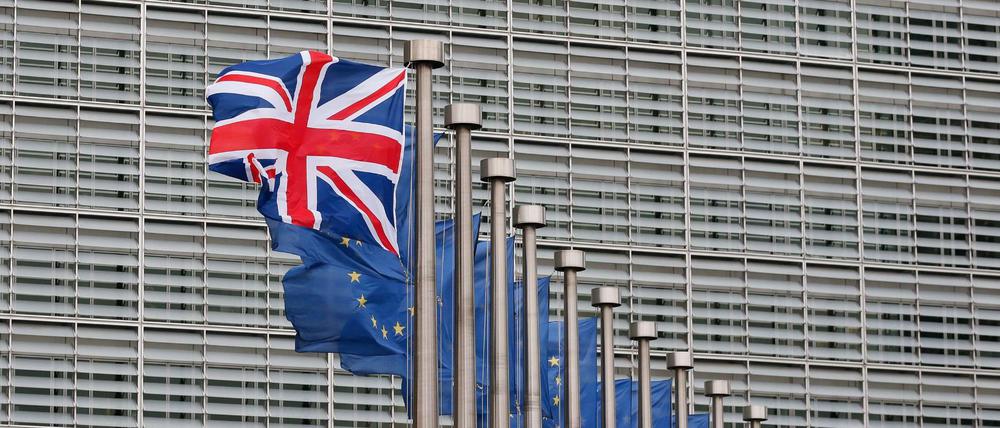 Am 23. Juni stimmen die Briten ab: Wollen sie in der EU bleiben oder nicht?