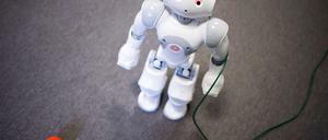 Kein Geek-Spielzeug, sondern ein humanoider Roboter