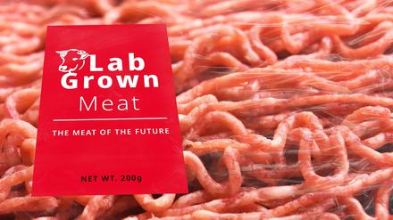Fleisch könnte in Zukunft verstärkt aus dem Labor kommen.