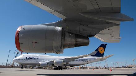 Stillgelegte Passagiermaschinen vom Typ Boeing-747 der Lufthansa stehen mit abgedeckten Turbinen auf dem Flughafen Frankfurt. 