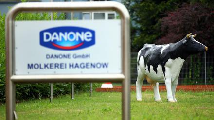 Danone will den Nutri-Score auf weiteren Milchfrischeprodukten einführen.