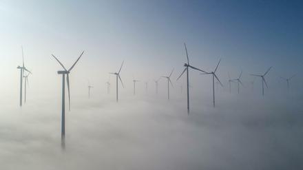 Windenergieanlagen im Windenergiepark "Odervorland" in Brandenburg. 