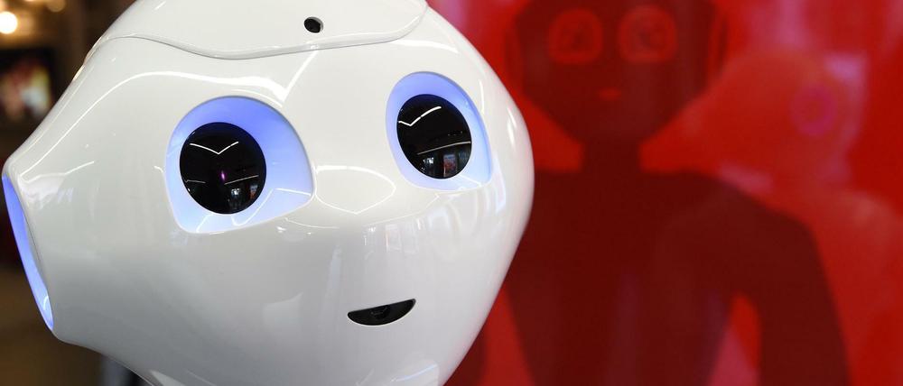 Beim Digitalgipfel in Nürnberg geht es auch um Roboter wie "Pepper". 