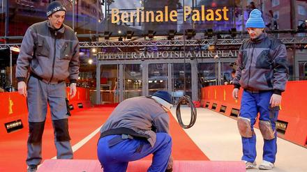 Roter Teppich für die Filmbranche. Die Berlinale hat auch der Filmindustrie eine Menge zu bieten. 