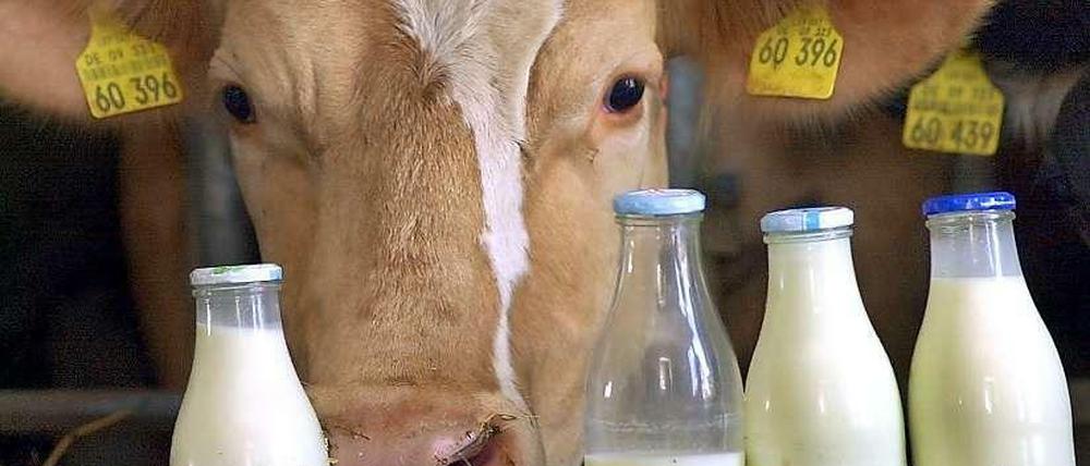Die EU-Milchquoten fallen weg.
