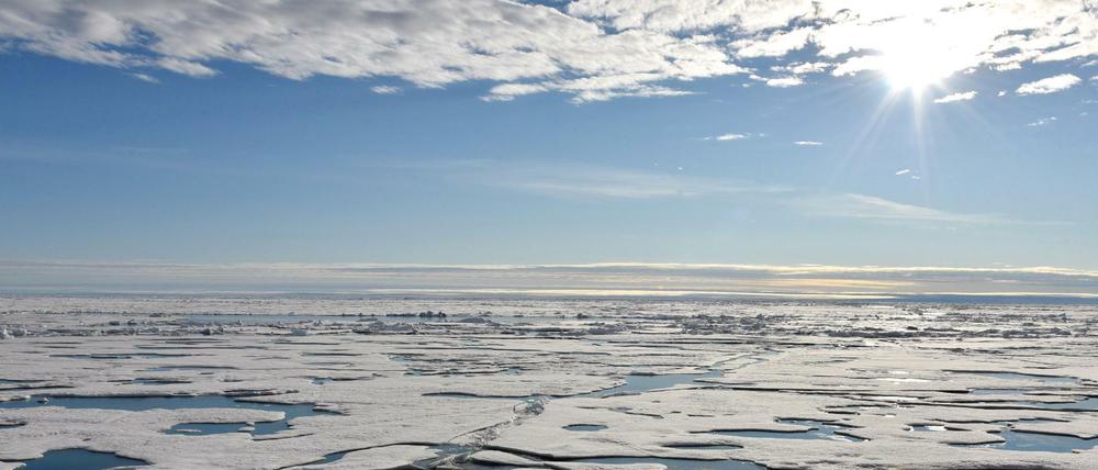 Das Eis in der Arktis schmilzt. Das eröffnet Reedereien ganz neue Routen. 
