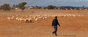 Farmarbeiter Glenn McCosker auf einer Schafsfarm in Tamworth im australischen Bundesstaat New South Wales. Die Tiere müssen gefüttert werden, Pflanzen finden sie seit Monaten nicht. Das Bild stammt vom 2. Juni 2018.