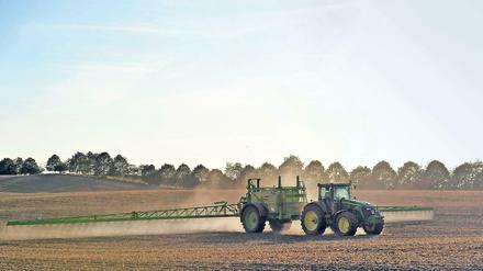 Alles soll weg: In Deutschland benutzen Bauern Glyphosat, um das Feld nach der Ernte von wilden Trieben und Unkraut zu befreien. 