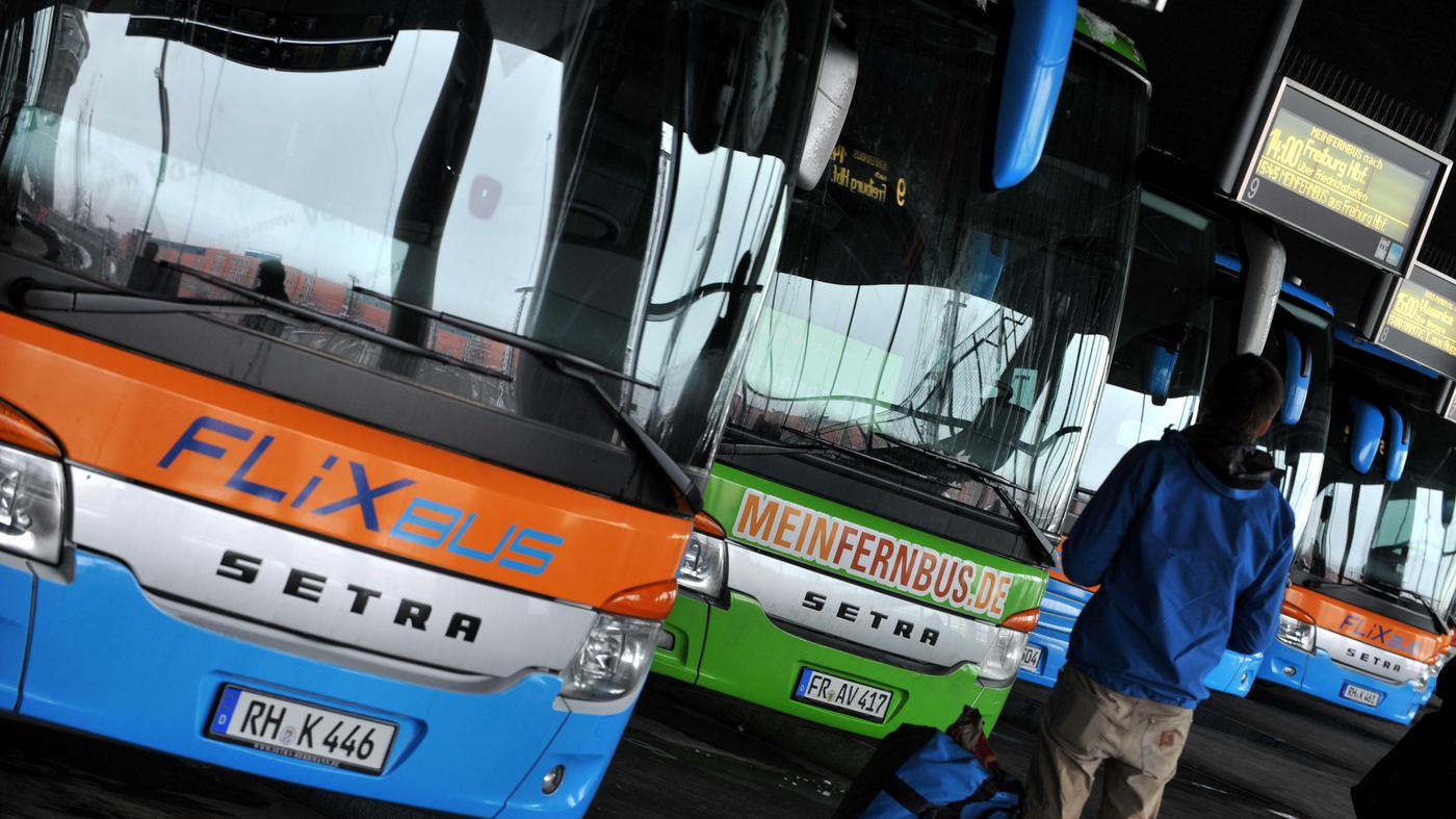 Wirtschaft: Fernbus-Anbieter erwarten doppelt so viel Umsatz im kommenden Jahr
