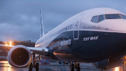 Boeing 737 Max. Zwei Abstürze und anhaltende Software-Probleme haben den Ruf der Maschine schwer beschädigt. Foto: REUTERS/Matt Mills McKnight