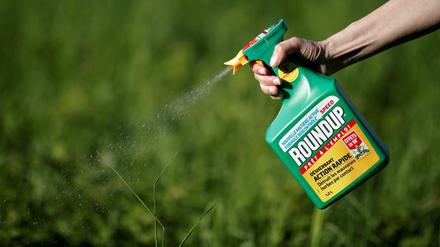 Umstrittenes Unkrautvernichtungsmittel: Roundup von Monsanto enthält den Wirkstoff Glyphosat. Das Mittel ist in der EU noch jahrelang zugelassen. 