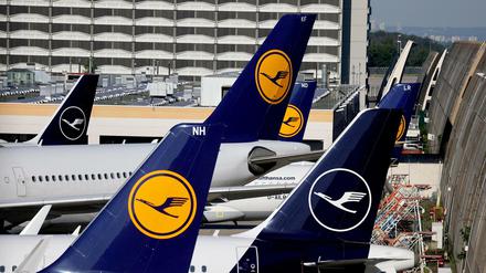 Lufthansa-Maschinen am Flughafen Frankfurt.