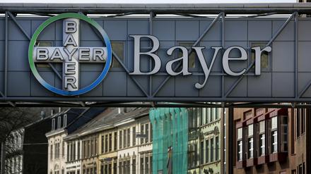 Die Sparte Bayer Healthcare produziert unter anderem im nordrhein-westfälischen Wuppertal.