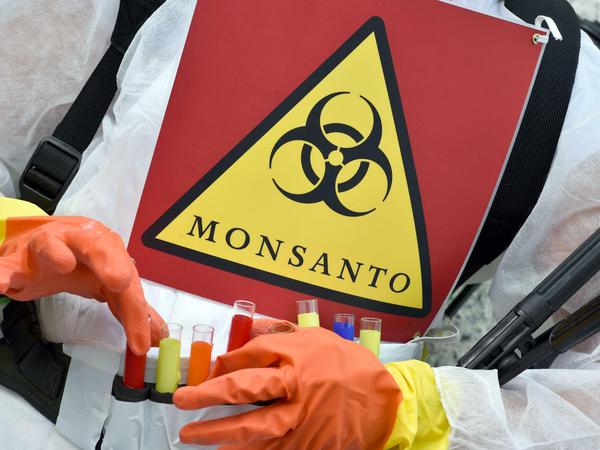 Gentechnik, Glyphosat und strenge Lizenzverträge: Monsanto ist unter Umweltschützern verhasst. 