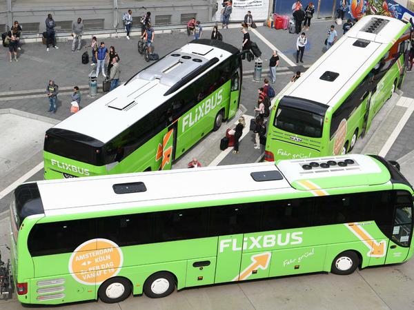 Flixbus ist jetzt als letzter Anbieter am Markt übrig geblieben - und profitiert. 