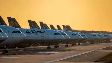 Die Lufthansa hat Staatshilfe bekommen. Auch Flughäfen fordern nun Unterstützung.
