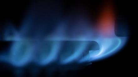 Zahlreiche blau-schimmernde Gas-Flämmchen sind an einem Gasherd zu sehen (Symbolbild).