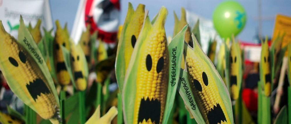 Die Stimmung in Deutschland ist eindeutig. Die wenigsten wollen gentechnisch veränderten Mais oder andere Produkte der grünen Gentechnik auf deutschen Äckern sehen. Doch die Verhandlungen in der Europäischen Union sind weiterhin schwierig. 