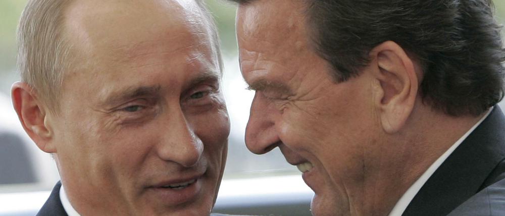 Treue Genossen. Gerhard Schröder und der russische Präsident Wladimir Putin verstehen sich schon seit vielen Jahren sehr gut.