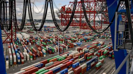 Hamburg: Container liegen zur Abfertigung am Containerterminal Tollerort im Hamburger Hafen. 