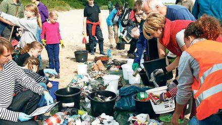 Bürger machen Wissenschaft: Beim Coastal Cleanup Day reinigten Schüler und Wissenschaftler den Strand an der Kieler Förde.