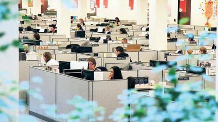 Arbeitsplatz Großraumbüro. Die Dienstleister sitzen oft an abgegrenzten Schreibtischen. In Deutschland arbeiten sie aber selten auf so engem Raum wie ihre US-Kollegen der Bank of America.Foto: Picture Alliance