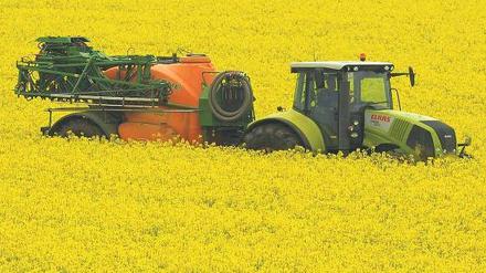 Gute Ernte. Die Landwirtschaft erhielt im vergangenen Jahr 11,4 Milliarden Euro an Subventionen und ist damit der zweitgrößte Nutznießer staatlicher Förderung.