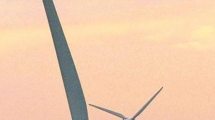 Nach einem schwachen Windjahr 2010 stieg der Anteil der Windenergie in 2011 auf 7,6 Prozent. Die Erneuerbaren insgesamt sind der zweitwichtigste Stromproduzent. Foto: rtr