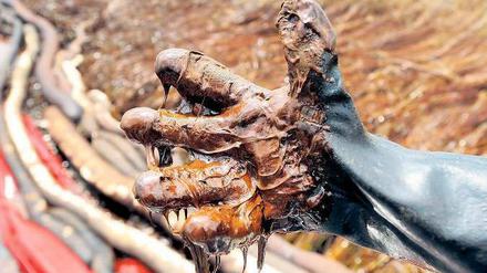 Schmutzige Hände. Fischer, Hotel- und Restaurantbesitzer leiden noch heute unter den Folgen der Ölpest. Foto: p-a/dpa