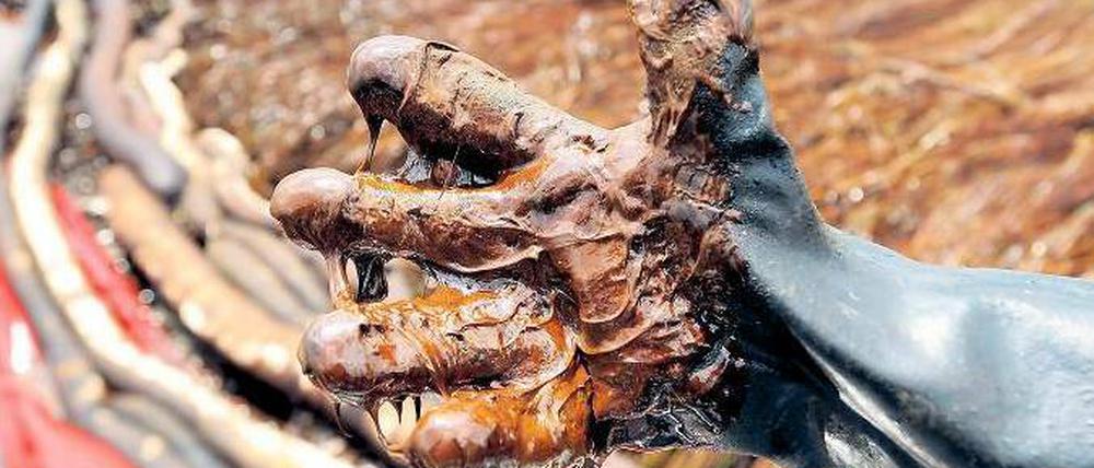 Schmutzige Hände. Fischer, Hotel- und Restaurantbesitzer leiden noch heute unter den Folgen der Ölpest. Foto: p-a/dpa