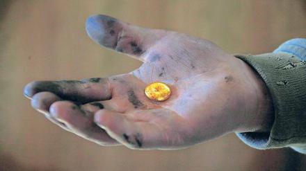 Edler Klumpen in der Hand eines Minenarbeiters aus der Mongolei. Das meiste Gold wird allerdings in Südafrika gefördert. Foto: Reuters