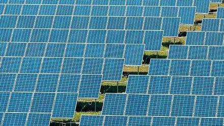 Ein Riss geht durch die deutsche Solarindustrie. Viele Firmen stehen vor dem Aus, doch einige haben eine Chance.