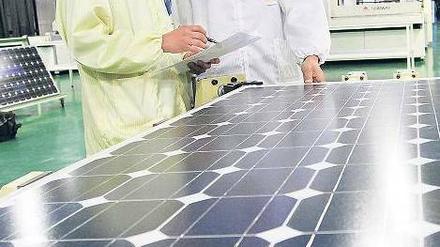 Weltmarktführer. In China werden heute 80 Prozent aller Solarmodule gefertigt.Foto: dapd