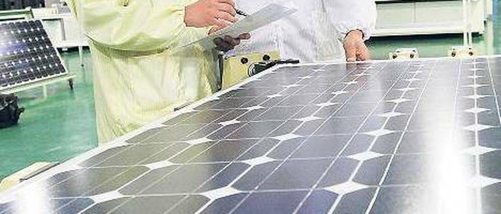 Weltmarktführer. In China werden heute 80 Prozent aller Solarmodule gefertigt.Foto: dapd