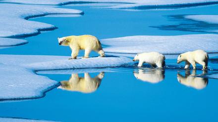 Als Rosneft-Partner bekäme BP Zugang zu den Öl- und Gasfeldern im Nordpolarmeer. Das verliert schon wegen des Klimawandels stetig an Eis.