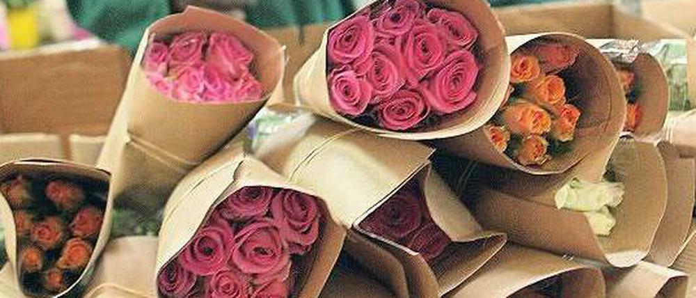 Marktfähig. 250 Millionen fair gehandelte Rosen wurden 2012 gekauft. 