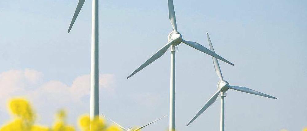 Kerngeschäft: Prokon plante und verwaltete vor allem Windparks. Das soll die Firma weiter tun. Eigene Windanlagen baut das Unternehmen künftig nicht mehr. 