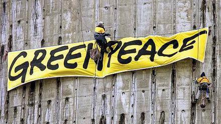 Riskantes Manöver. Weil ein Mitarbeiter 3,8 Millionen Euro verzockt hat, steht Greenpeace in der Kritik. 