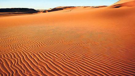 In den Sand gesetzt. Das schwer kriselnde Wüstenstrom-Projekt Desertec steht Insidern zufolge vor dem endgültigen Aus. Rund 400 Milliarden Euro sollte bis 2050 in Solarkraftwerke unter der Sonne Nordafrikas und dem Vorderen Orient investiert werden.