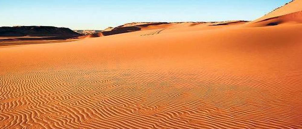 In den Sand gesetzt. Das schwer kriselnde Wüstenstrom-Projekt Desertec steht Insidern zufolge vor dem endgültigen Aus. Rund 400 Milliarden Euro sollte bis 2050 in Solarkraftwerke unter der Sonne Nordafrikas und dem Vorderen Orient investiert werden.