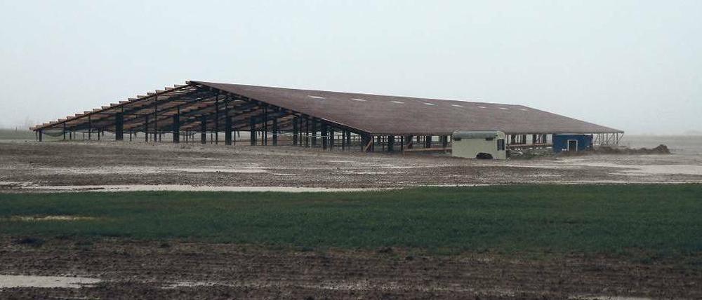 Nur die Hälfte. Nur wenige hundert Meter von diesem Stall ist noch ein zweiter im Bau. Knapp 80 000 Hühner sollen in Kürze in den Anlagen „einziehen“. 
