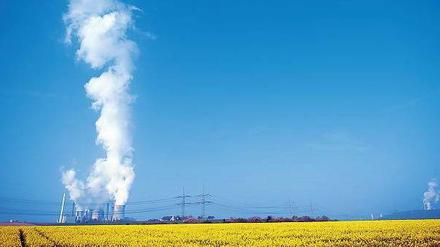 Schmutziges Geschäft. Bei der Verbrennung von Braunkohle wird aufgrund des hohen Wasseranteils besonders viel CO2 in die Luft geblasen. 