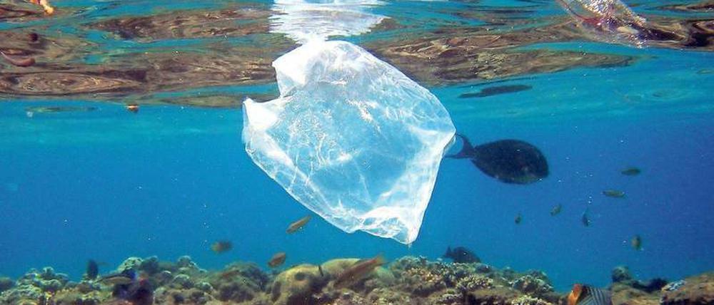 Ende einer Tüte. Viele Tragetaschen aus Plastik landen schließlich im Meer.