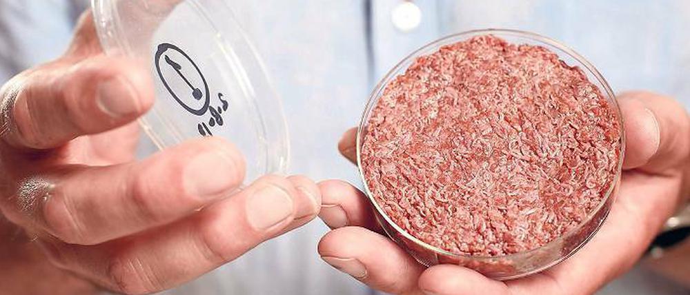 Vor viereinhalb Jahren hat Mark Post von der Universität Maastricht erstmals Fleisch präsentiert, das er aus Stammzellen erzeugt hat.