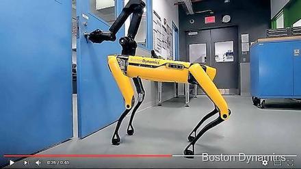 Vierbeiniger Türöffner. Der Roboter des US-Unternehmens Boston Dynamics hat sogar Manieren und hält einem anderen Roboterhund die Tür auf. 