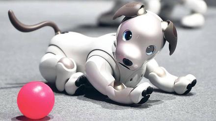 Macht Männchen aber keine Häufchen. Der Roboterhund Aido von Sony kostet 3000 Euro. 