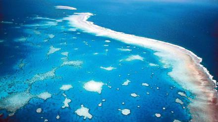 Bedrohte Natur. Das Great Barrier Reef vor der Küste Australiens. Die Erderwärmung bedroht auch die Artenvielfalt im Ozean, auf Atollen und Inseln. 